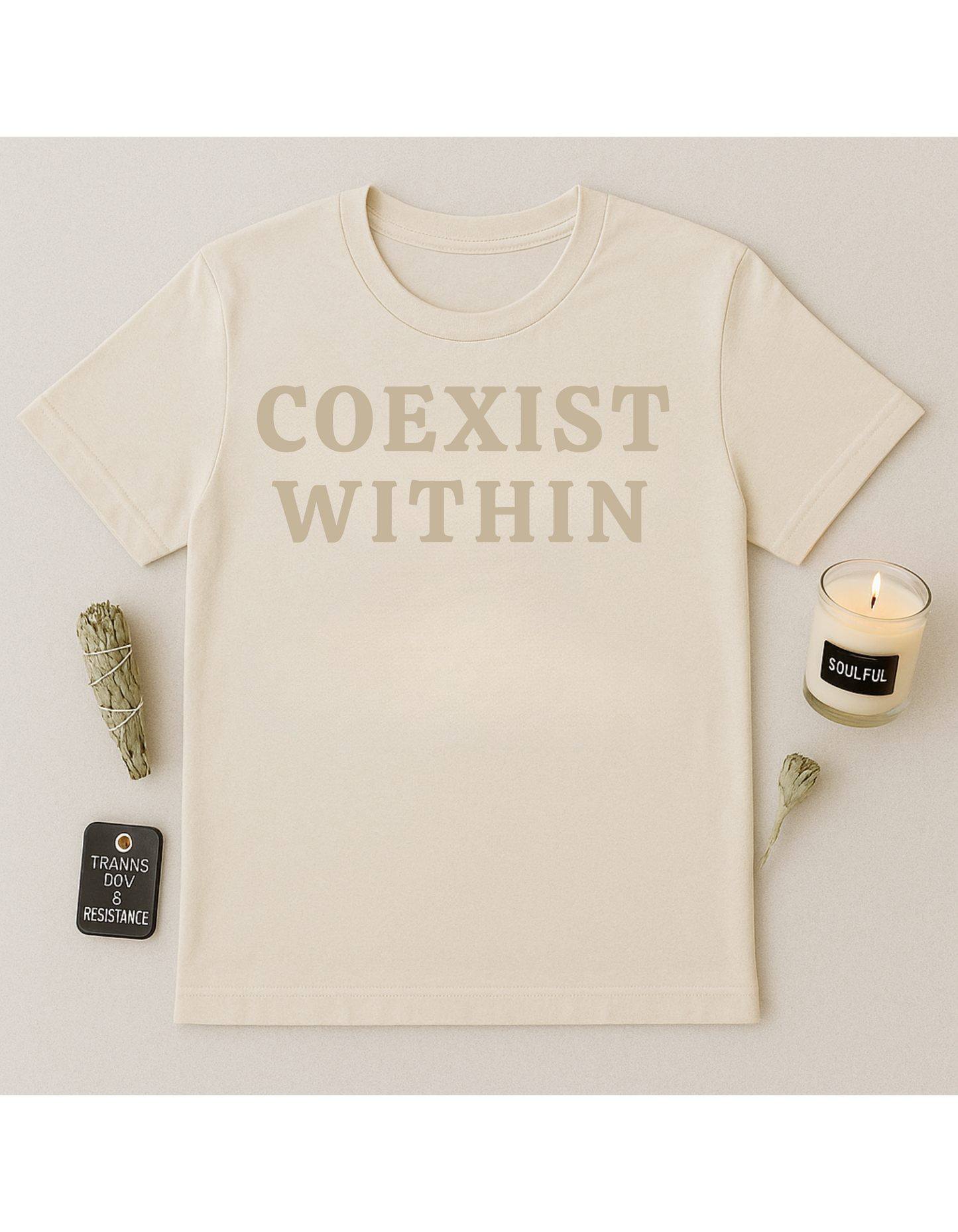 Coexist Within Unisex Softstyle T-Shirt, Motivational Tee, Affirmation Shirt, Space Lovers, Casual Wear, Unique Fashion