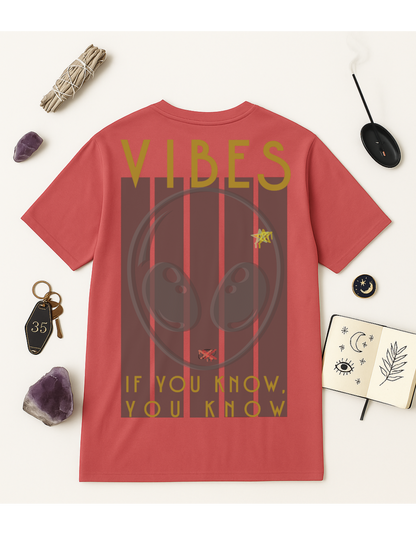 If You Know, You Know, Vibes Unisex Softstyle T-Shirt, Motivational Tee, Affirmation Shirt, Space Lovers, Casual Wear, Unique Fashion