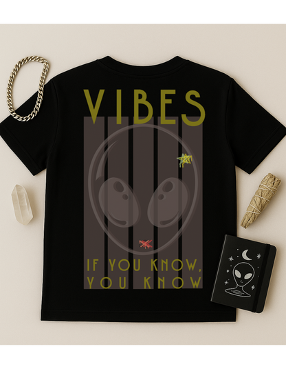 If You Know, You Know, Vibes Unisex Softstyle T-Shirt, Motivational Tee, Affirmation Shirt, Space Lovers, Casual Wear, Unique Fashion