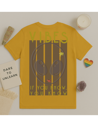 If You Know, You Know, Vibes Unisex Softstyle T-Shirt, Motivational Tee, Affirmation Shirt, Space Lovers, Casual Wear, Unique Fashion