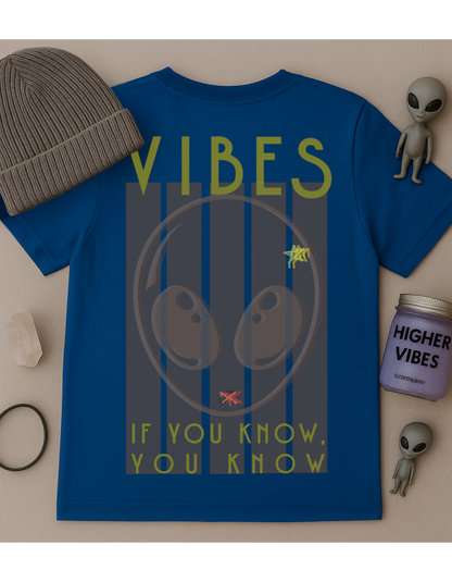 If You Know, You Know, Vibes Unisex Softstyle T-Shirt, Motivational Tee, Affirmation Shirt, Space Lovers, Casual Wear, Unique Fashion