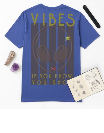 If You Know, You Know, Vibes Unisex Softstyle T-Shirt, Motivational Tee, Affirmation Shirt, Space Lovers, Casual Wear, Unique Fashion